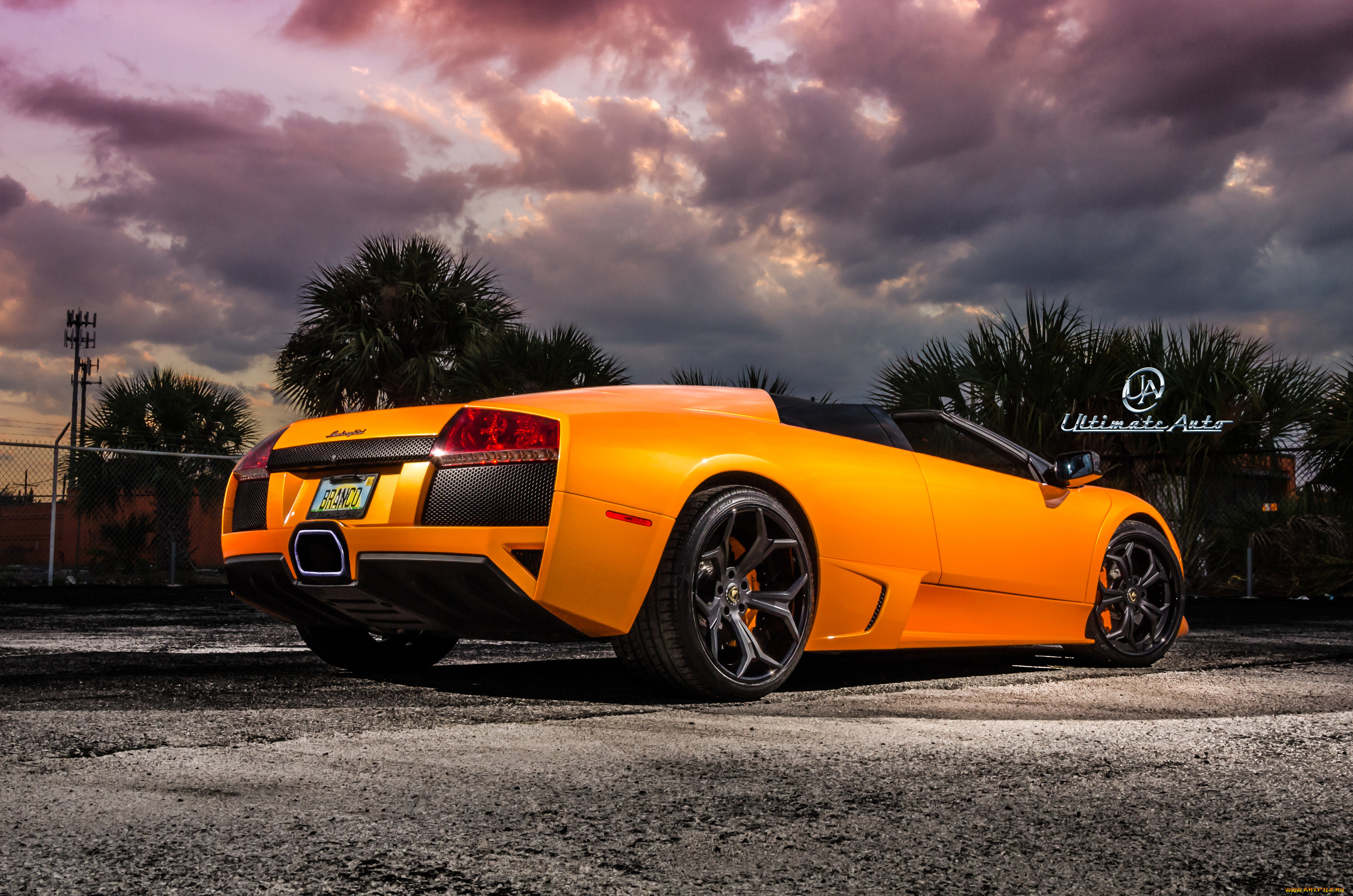 , lamborghini